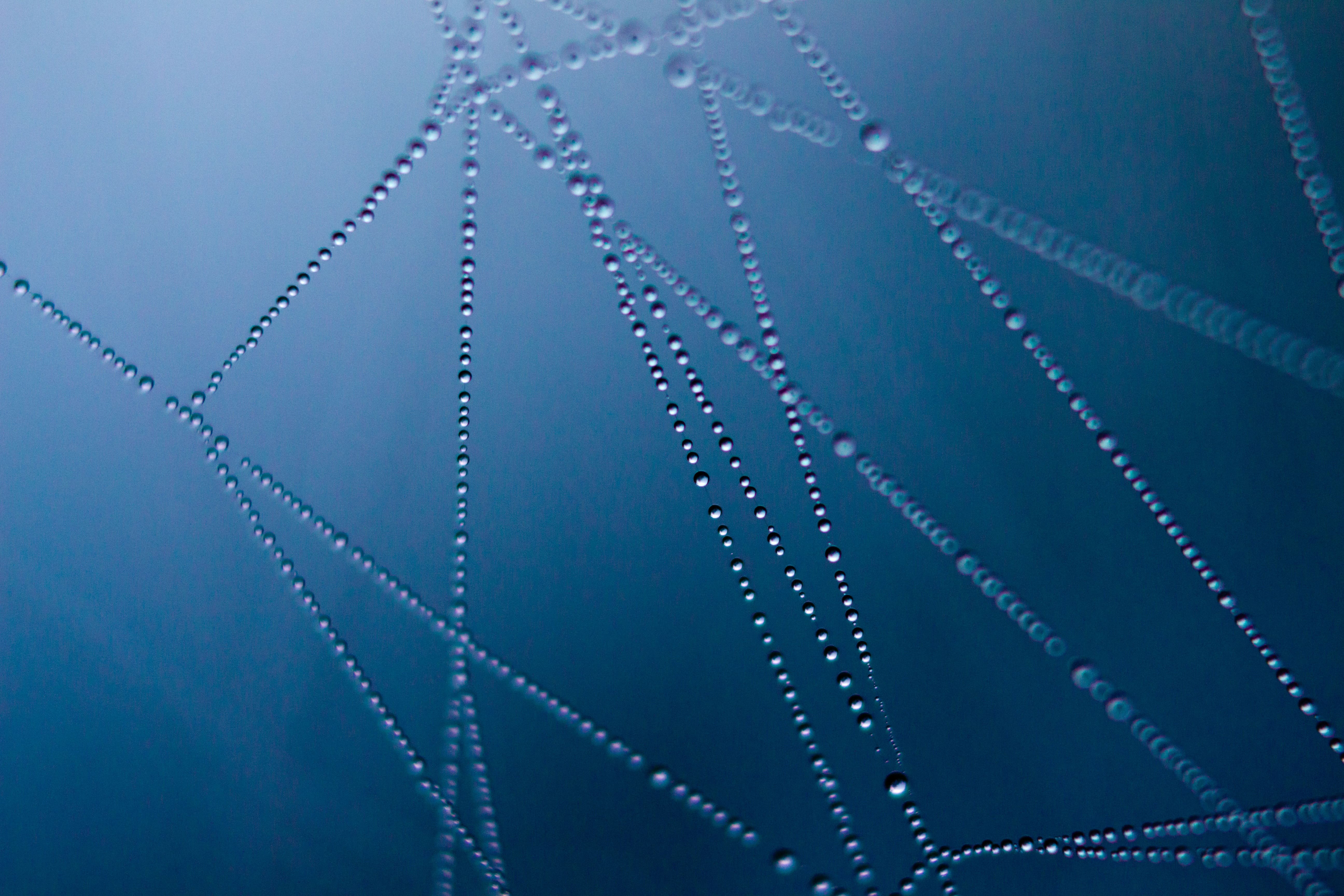 The Dark Side Of The Web: Drug Trafficking On The Darknet Grew Nearly Fourfold Recently