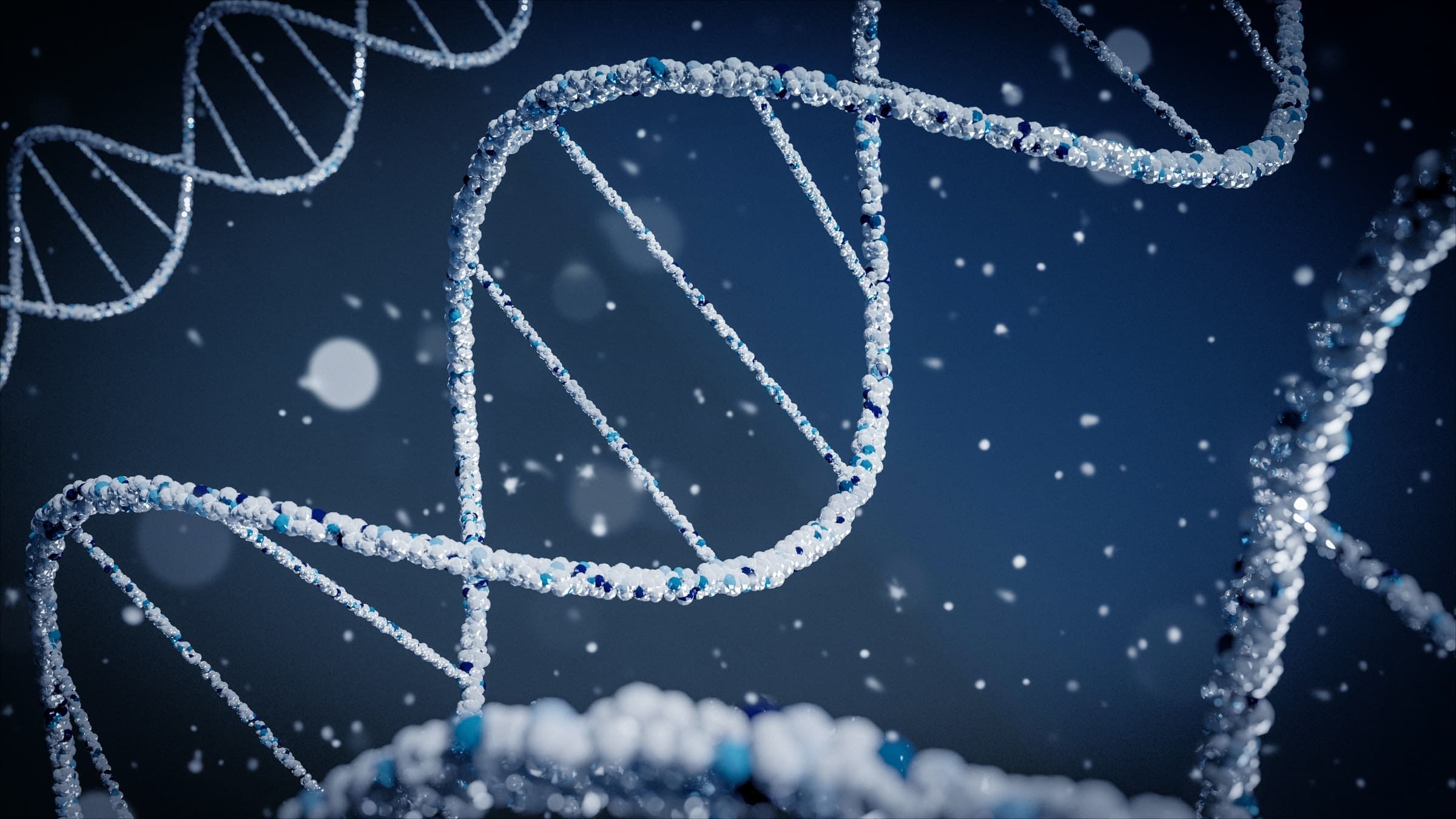 Representative photo of a DNA strand | Photo by Braňo on Unsplash