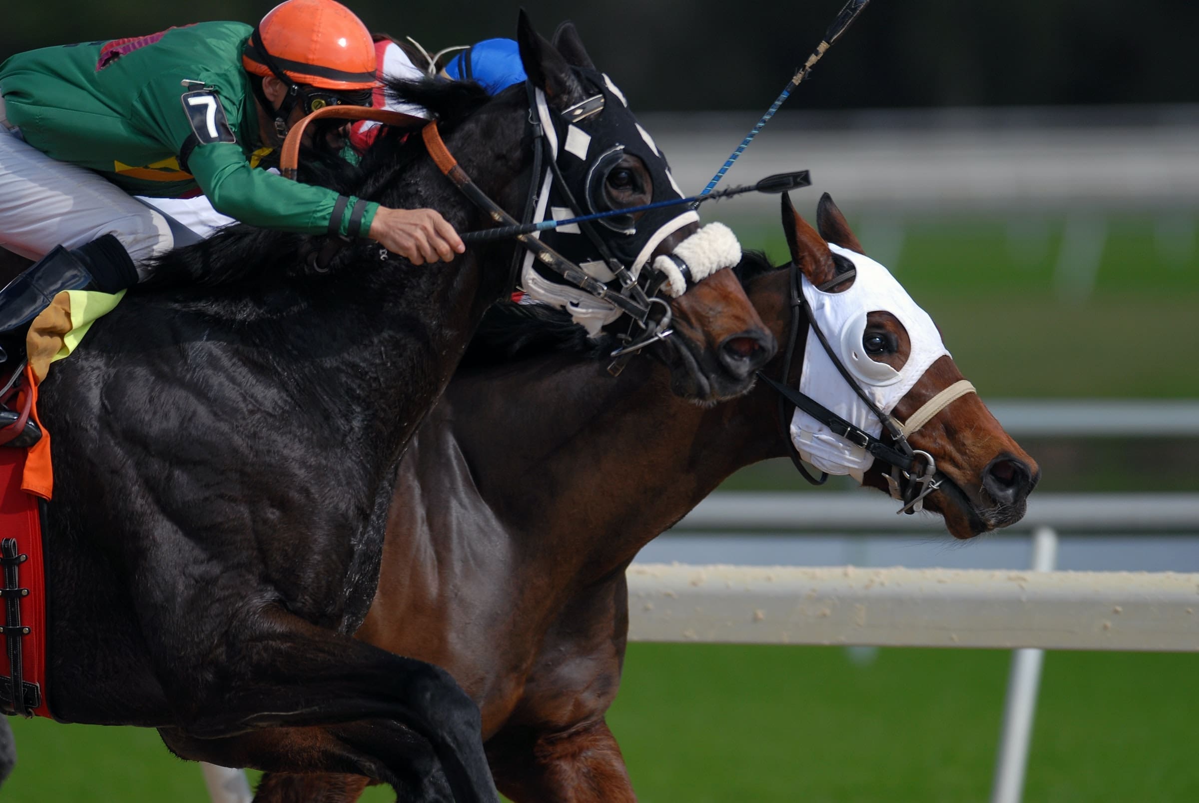 Representative photo of a horse race in progress | Photo by Jeff Griffith on Unsplash